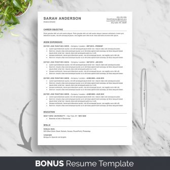 Bonus resume template