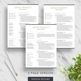 3 page resume template