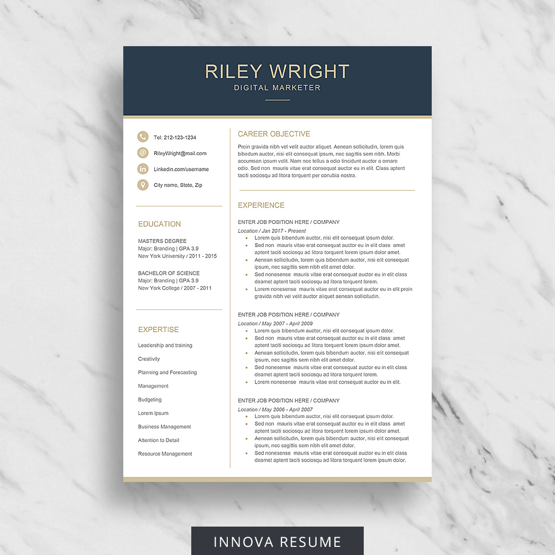 | Instant Digital Download Resume Template  CV Template 4 page pack + 66 icons Cover Letter for Word The iNova