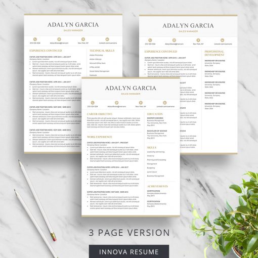 Modern 3 page resume template