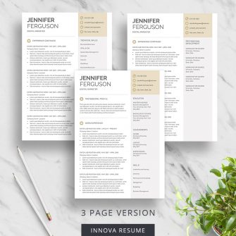 3 page resume template