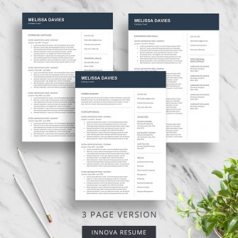 3 page resume template