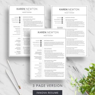 Professional 3 page resume template