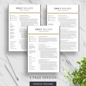 3 page resume template with modern design