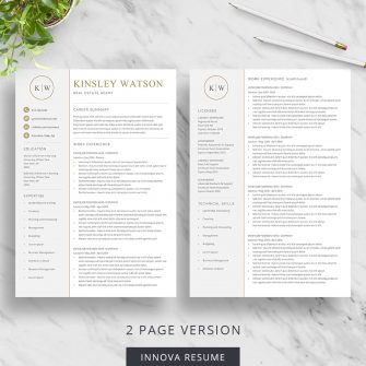 2 page executive resume template