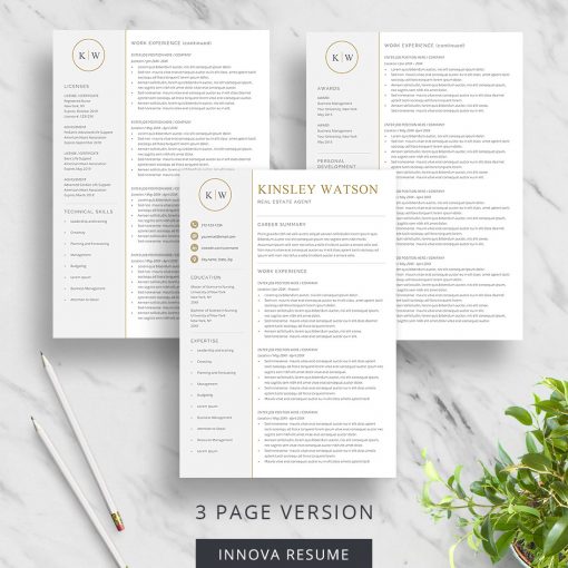 3 page executive resume template