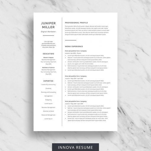 ATS conscious resume template