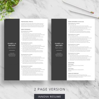 2 page chronological resume template