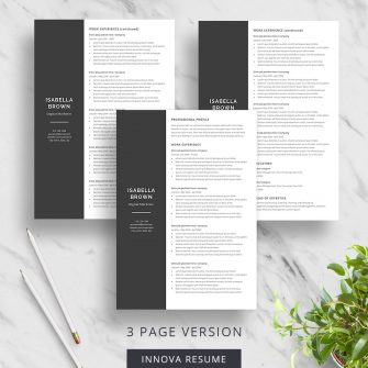 3 page chronological resume template